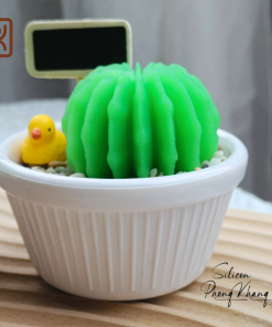 Khuôn silicon xương rồng