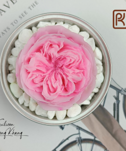 Khuôn silicon hoa hồng