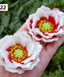 Khuôn silicon hoa cánh bèo